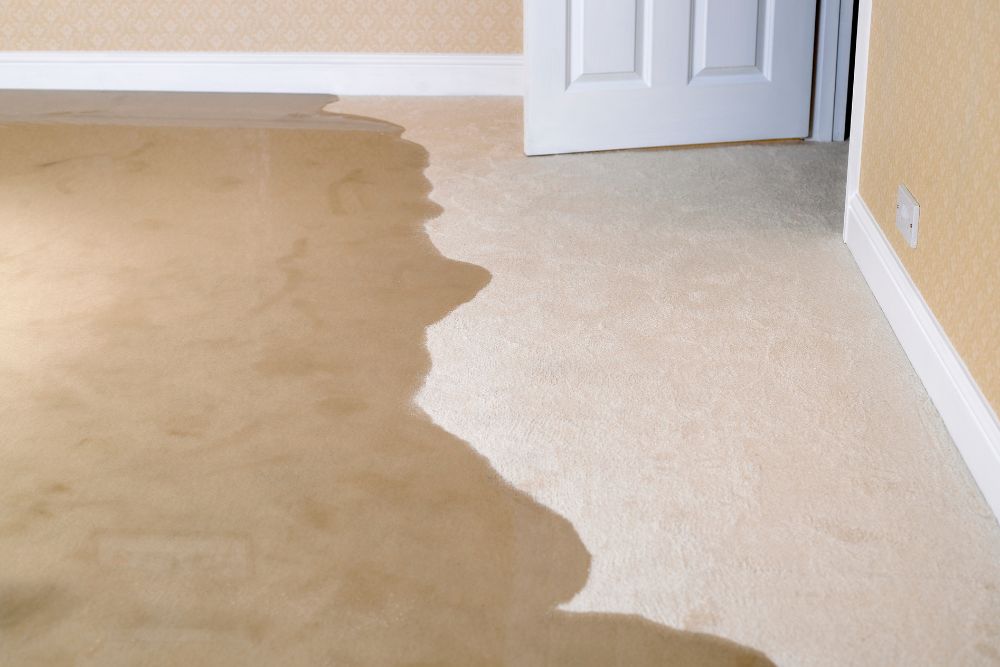 How to repair flood damage on carpet