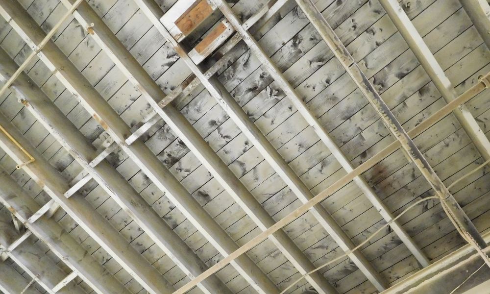 water damage to wooden floor joists, with visible dark patches and mould growth